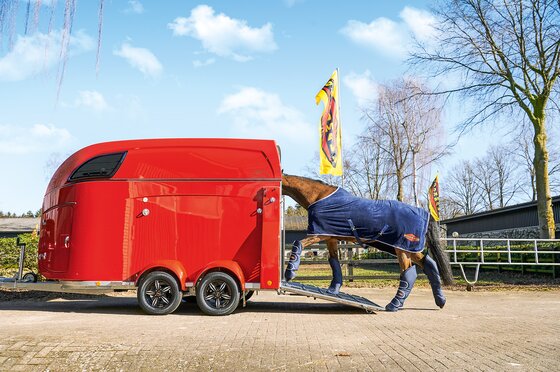 Böckmann Mehrwerte Pferdeanhänger Big Master Niedrige Verladehöhe