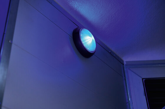 Böckmann Mehrwerte Pferdeanhänger Traveller - Beruhigende Atmosphäre