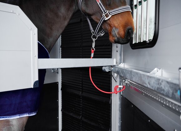 Böckmann Mehrwerte Pferdeanhänger Traveller - Anbindemöglichkeiten